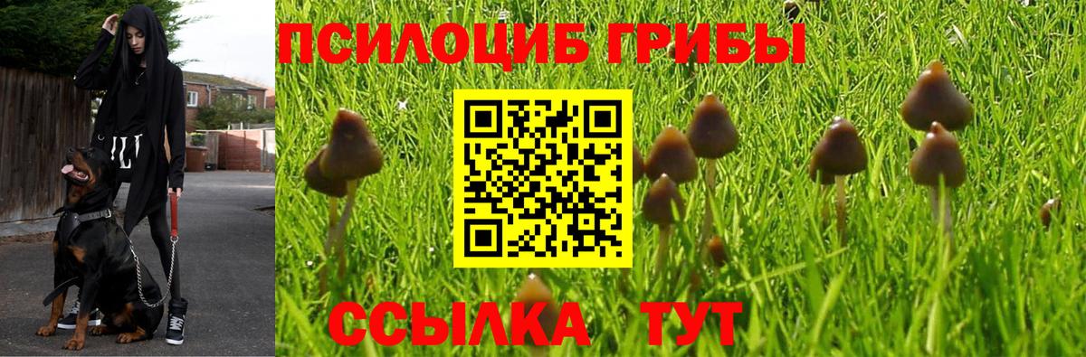 Галлюциногенные грибы мухоморы  дарнет шоп  Вход с VPN  Прокопьевск  Галлюциногенные грибы Magic Shrooms 